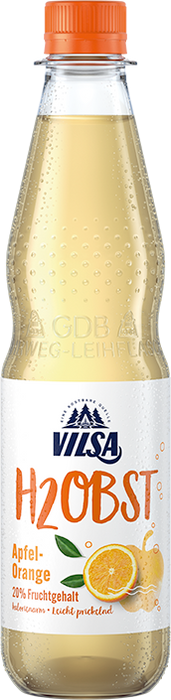 Vilsa H2Obst Apfel-Orange - 12 x 0,50 l