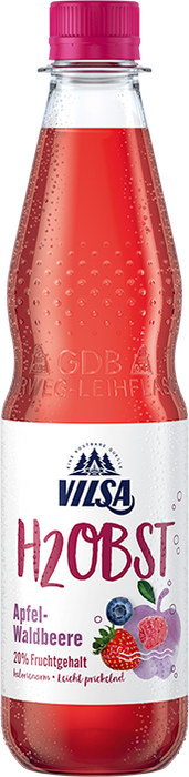 Vilsa H2Obst Apfel-Waldbeere - 12 x 0,50 l