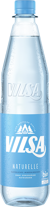 Vilsa Brunnen Naturelle - 12 x 0,75 l