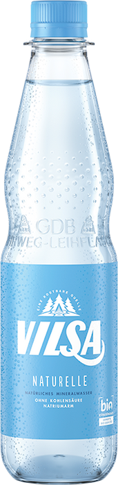 Vilsa Brunnen Naturelle - 12 x 0,50 l